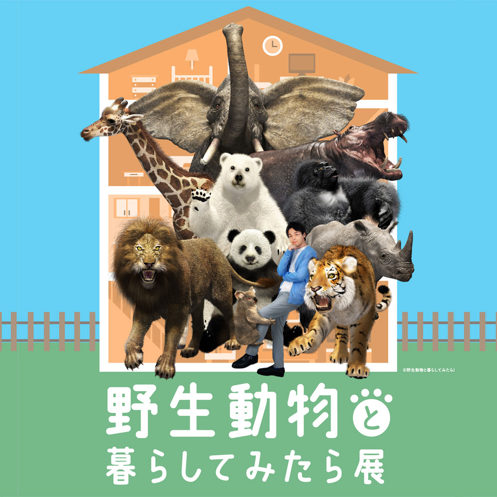 野生動物と暮らしてみたら展
